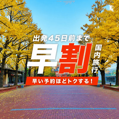 JALで行く北海道早割ツアー｜ホテルは130施設から選べますイメージ
